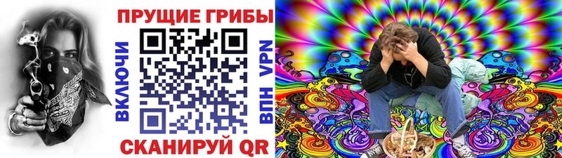 Псилоцибиновые грибы GOLDEN TEACHER  где купить наркоту  Новотроицк 