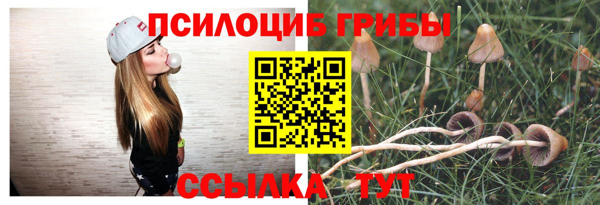 Галлюциногенные грибы Magic Shrooms Новотроицк