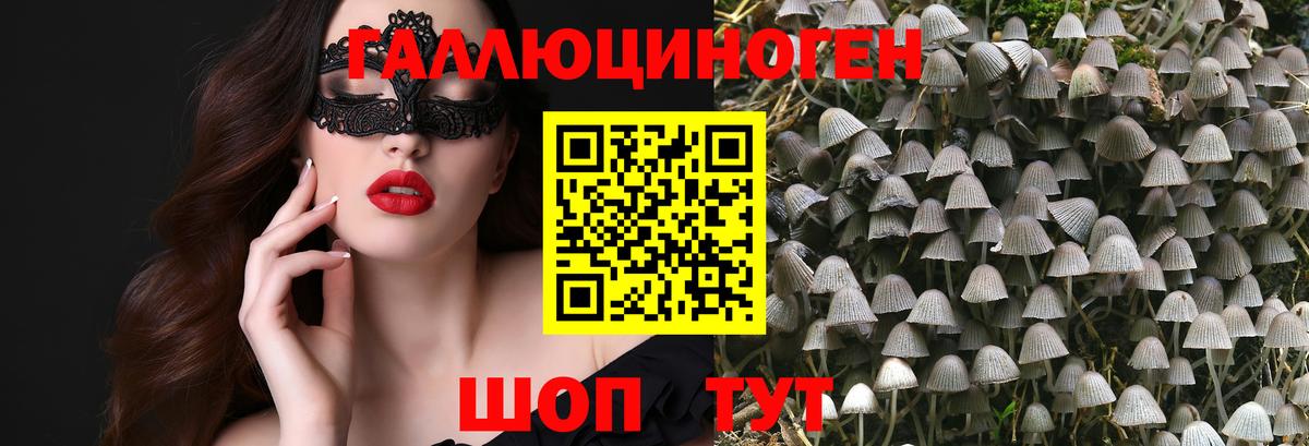 Новотроицк  Галлюциногенные грибы мицелий  Псилоцибиновые грибы Cubensis  Вход с VPN 